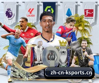 k体育 APP（KSports）